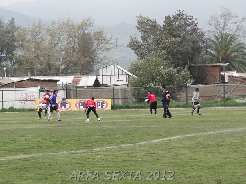Ver todas las Fotos
